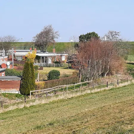 Ferienhaus-leuchtqualle Holiday home